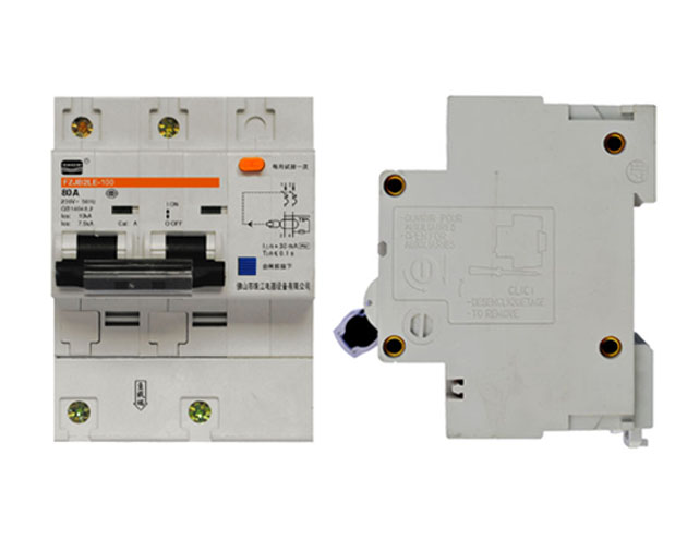 東莞FZJB2LE(DZ47LE)-100-2P